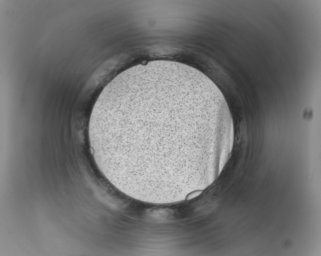 X0000111870452200909031819