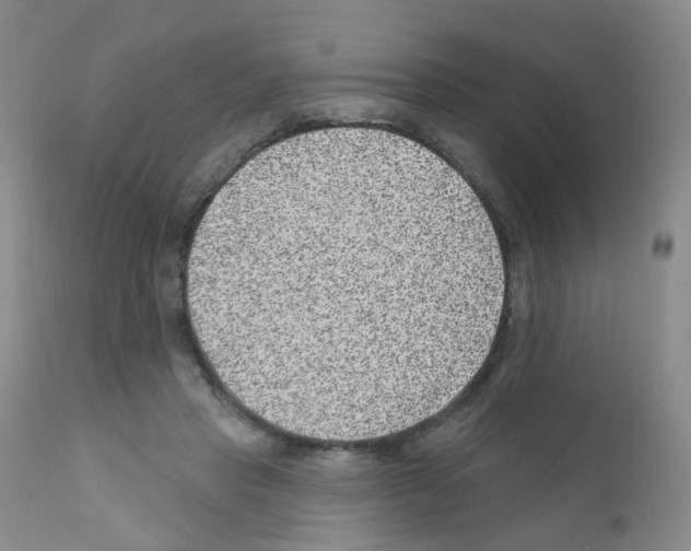 X0000111870453200909031819