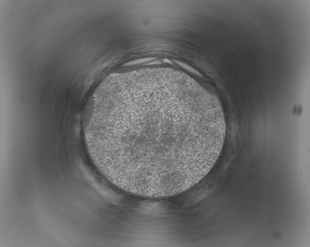 X0000111870454200909031819