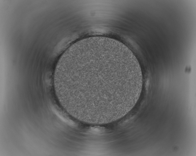 X0000111870455200909031819