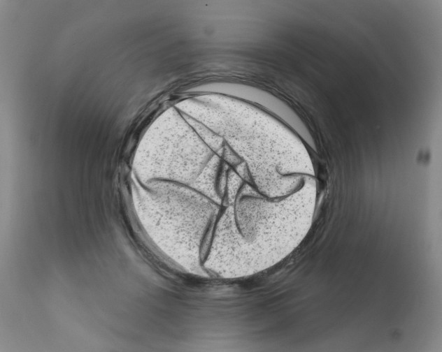 X0000111870456200909031819