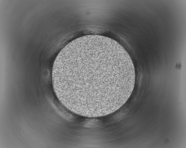 X0000111870459200909031819