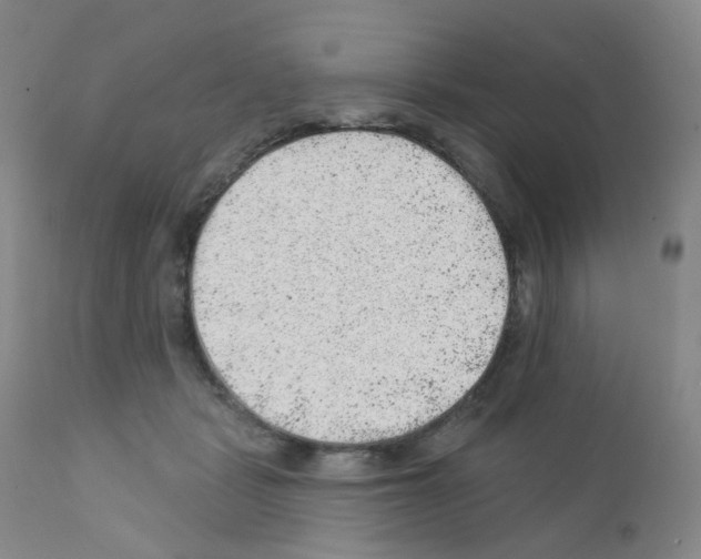 X0000111870461200909031819