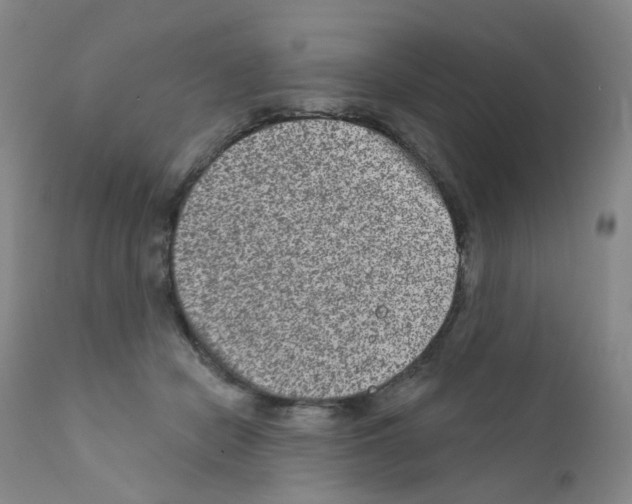 X0000111870462200909031819