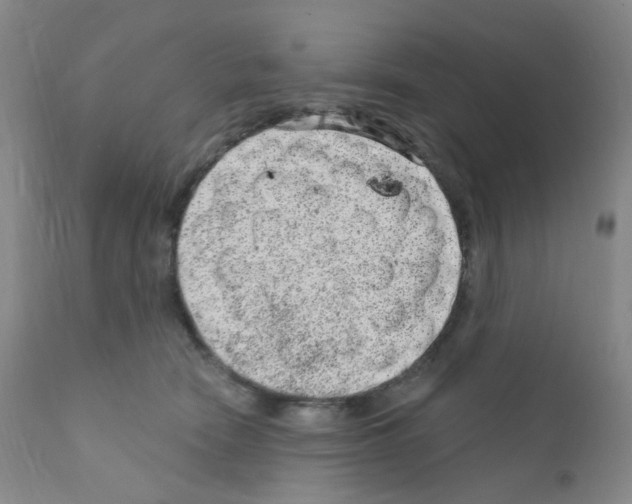 X0000111870466200909031819