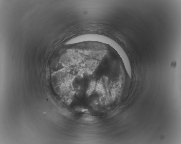 X0000111870467200909031819