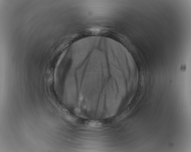 X0000111870471200909031819