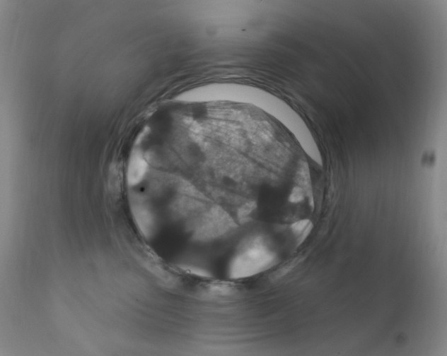 X0000111870475200909031820