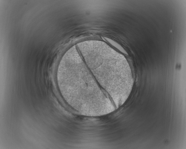 X0000111870476200909031820