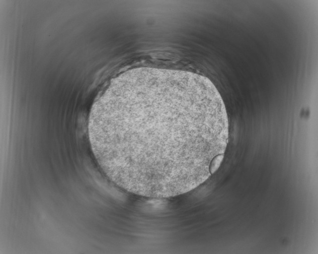 X0000111870478200909031820