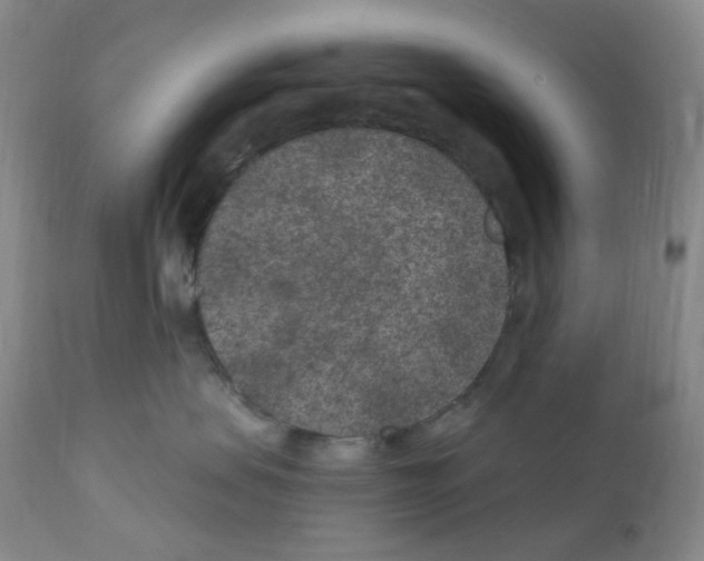 X0000111870479200909031820