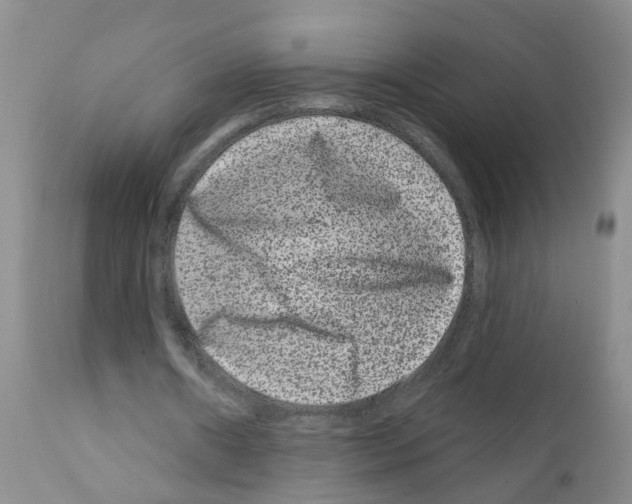 X0000111870482200909031819