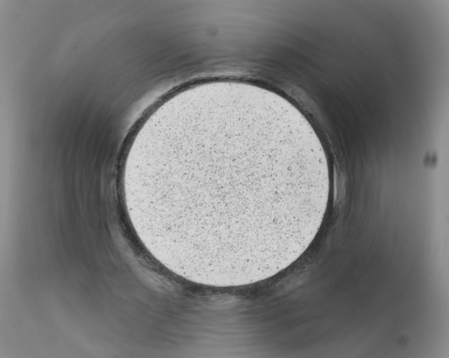 X0000111870483200909031819