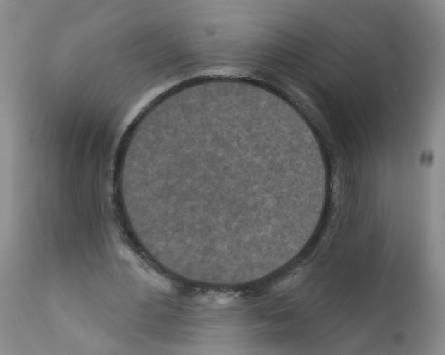 X0000111870484200909031819