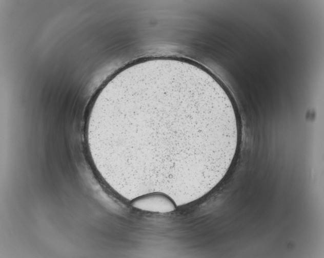 X0000111870485200909031819