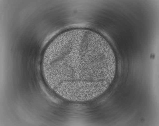 X0000111870486200909031819