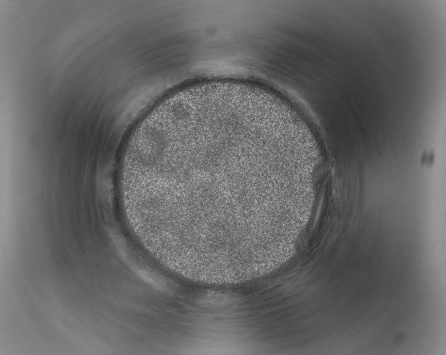 X0000111870487200909031819