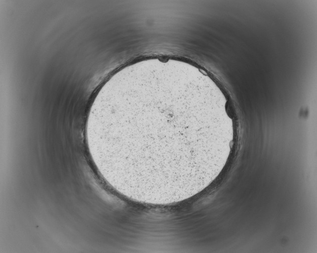 X0000111870489200909031819