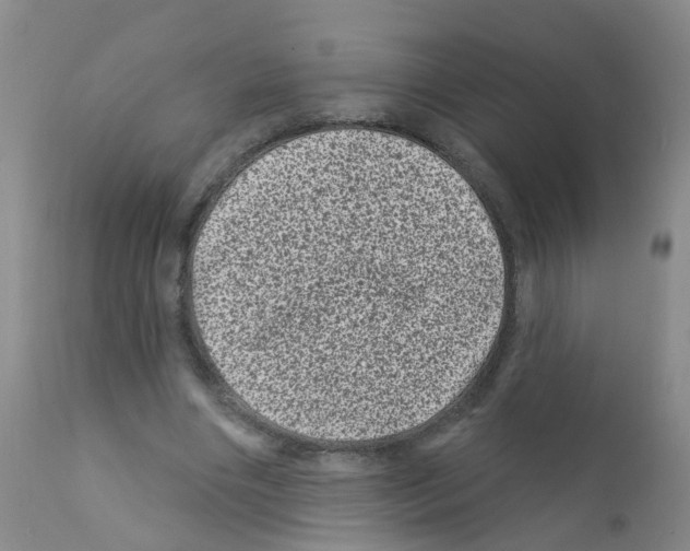 X0000111870490200909031819