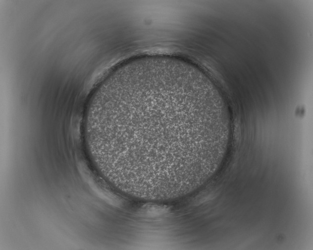 X0000111870491200909031819