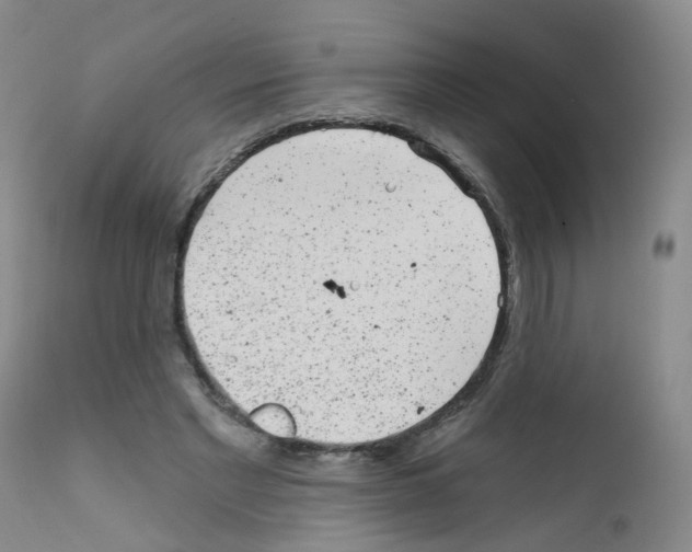 X0000111870493200909031819