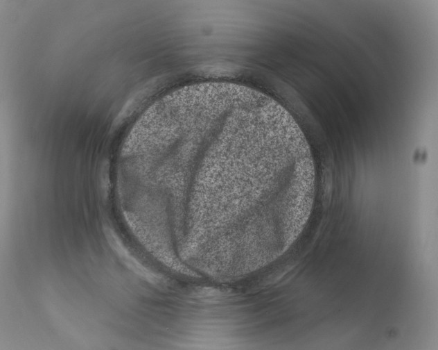 X0000111870494200909031819