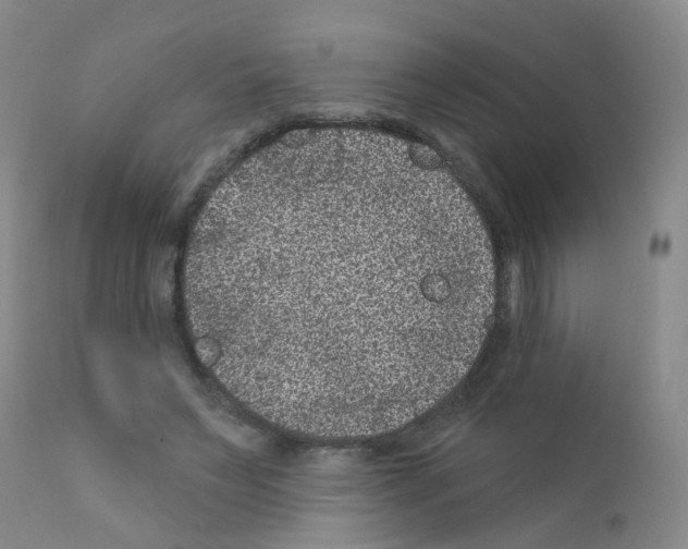 X0000111870495200909031819