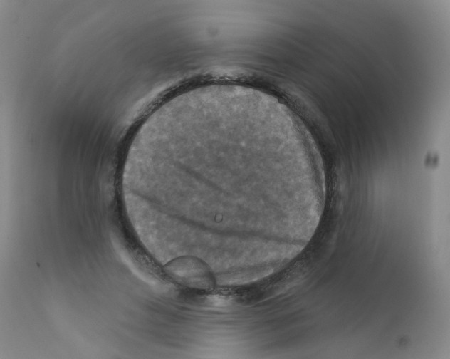 X0000111870496200909031819