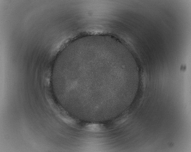 X0000111870499200909031819