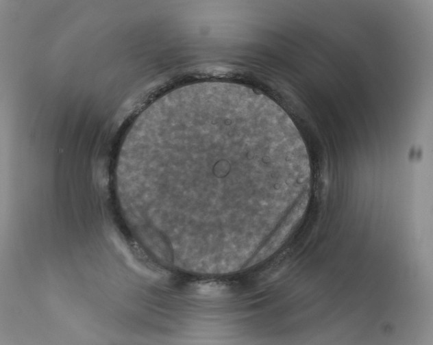 X0000111870500200909031819