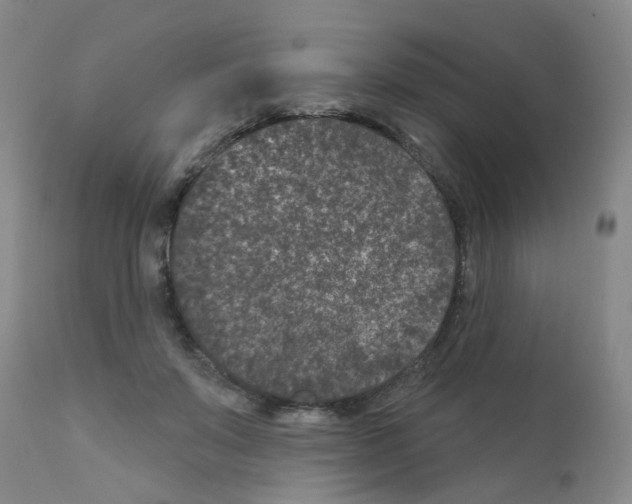 X0000111870503200909031819