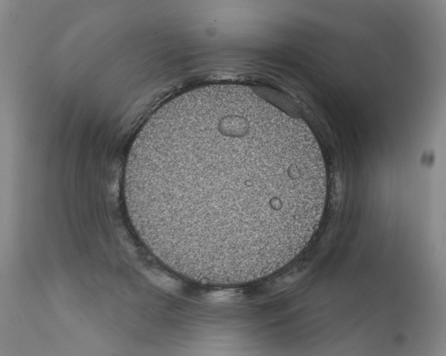 X0000111870505200909031819