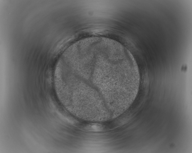 X0000111870506200909031819