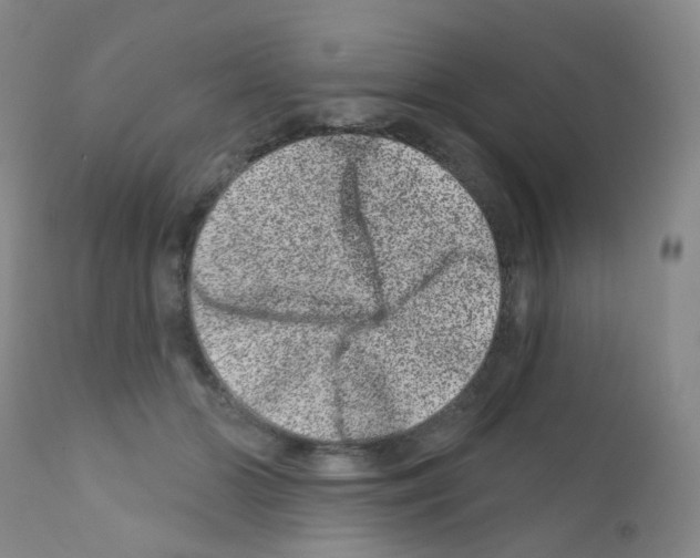 X0000111870510200909031819