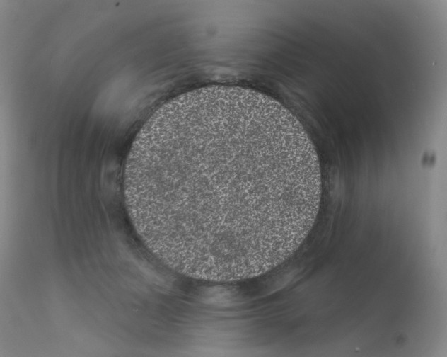 X0000111870511200909031819