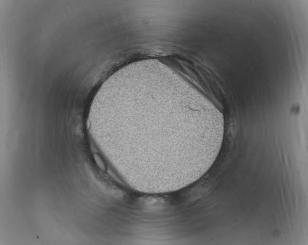 X0000111870512200909031819