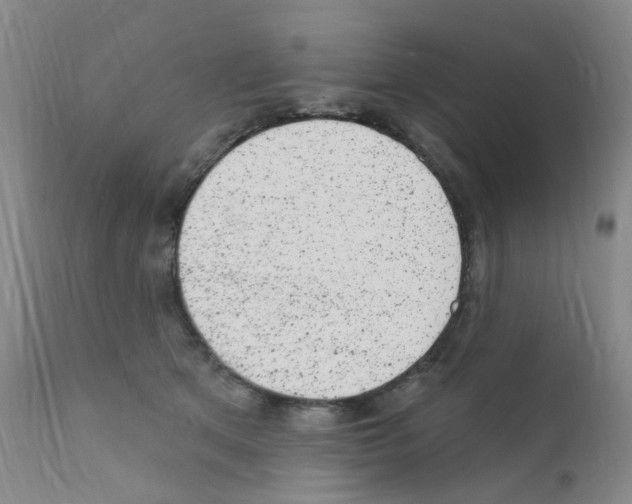 X0000111870513200909031819