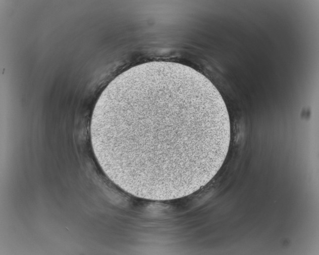 X0000111870515200909031818