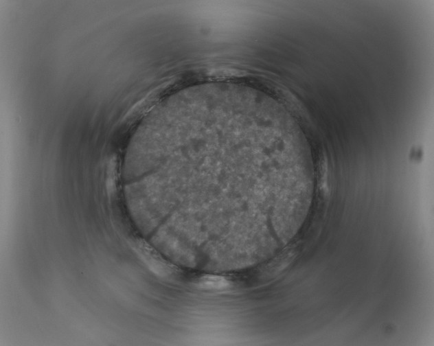 X0000111870519200909031818