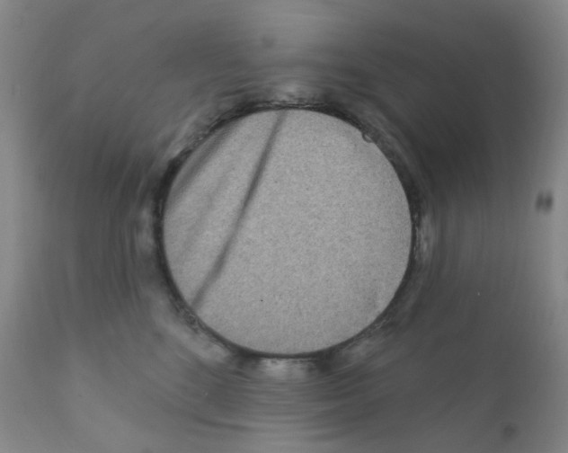 X0000111870520200909031818