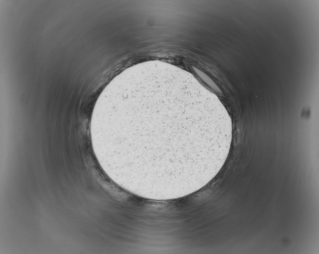 X0000111870521200909031818