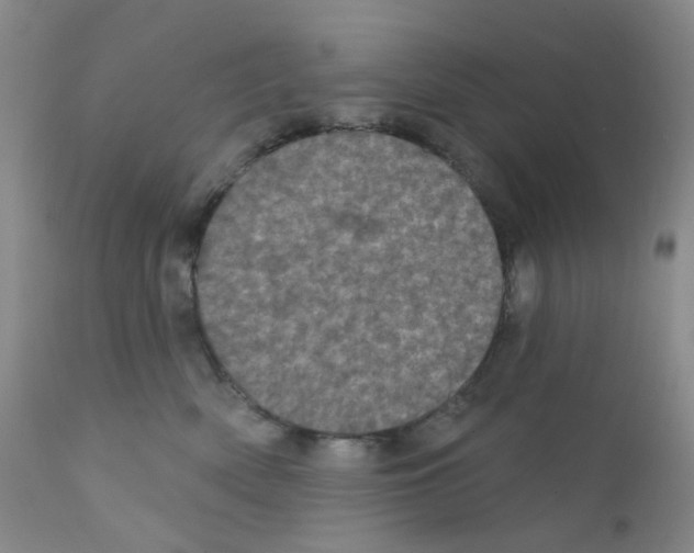 X0000111870522200909031818