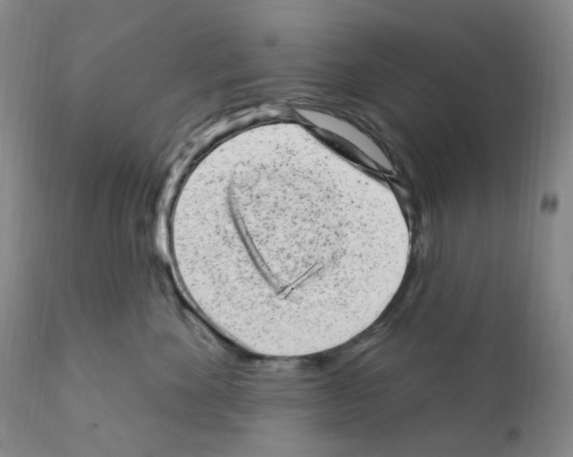 X0000111870524200909031818