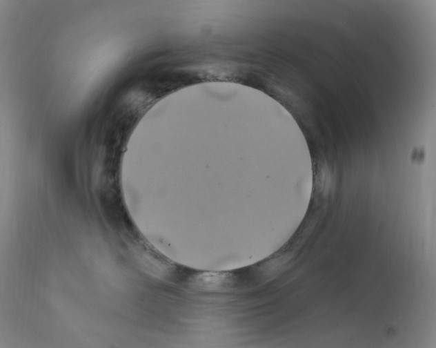 X0000111870526200909031818