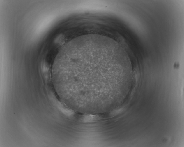 X0000111870527200909031818