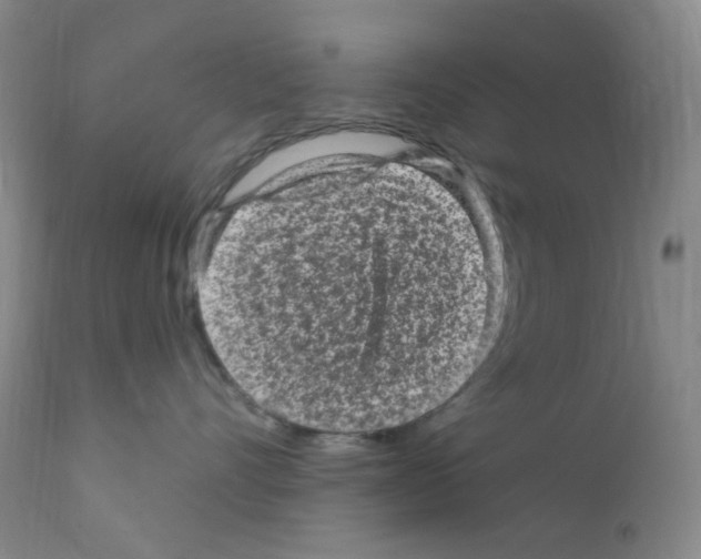 X0000111870528200909031818