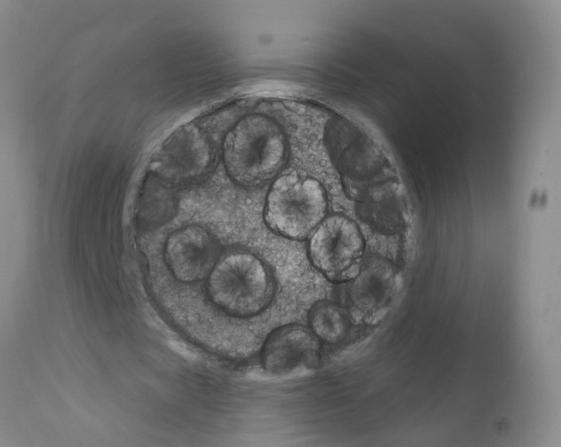 X0000111870529200909031818