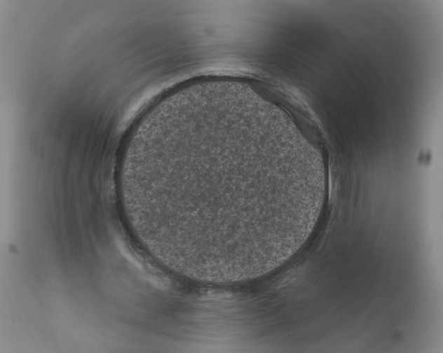 X0000111870531200909031818