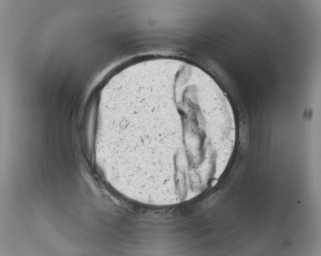 X0000111870532200909031818