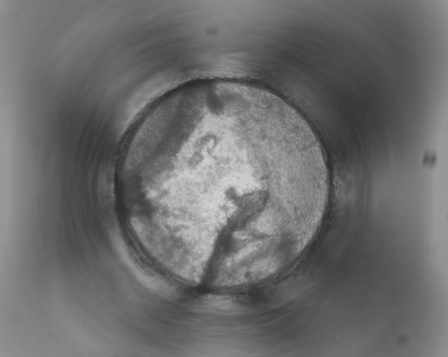 X0000111870534200909031818